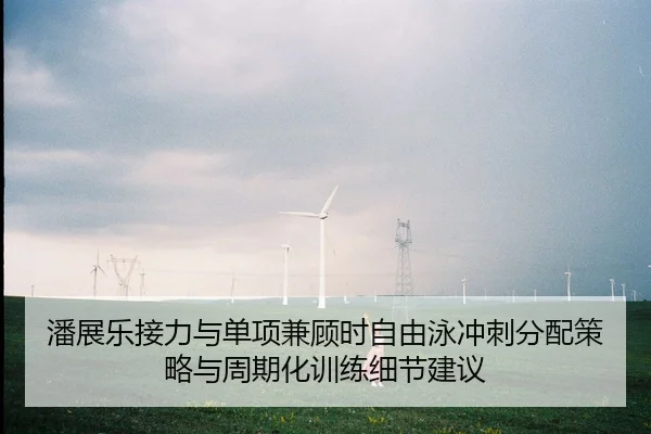 pan-zhan-le-jie-li-yu-dan-xiang-jian-gu-shi-zi-you-yong-chong-ci-fen-pei-ce-lve-yu-zhou-qi-hua-xun-lian-xi-jie-jian-yi-2-933.jpg